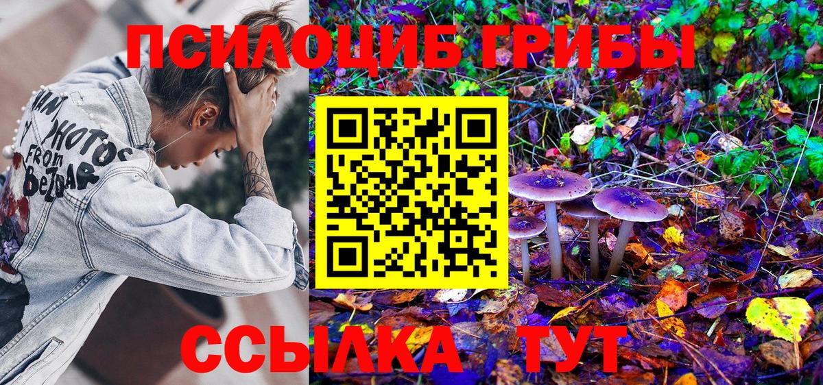 Галлюциногенные грибы GOLDEN TEACHER  Вход с VPN  Псилоцибиновые грибы GOLDEN TEACHER  Лабинск 